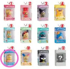 サンリオキャラクターズ チョコボックス 日焼け あひるのペックル