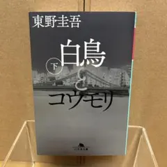 Item thumbnail for item 683c11fc-7ee2-4a9d-8b39-060ba45a3ec7