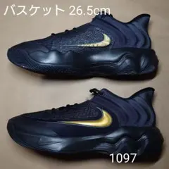 バスケット 26.5cm ナイキ ヤニス イモータリティ 4 EPのサムネイル