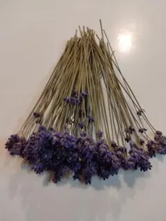 Qutan様 リクエスト 2点 まとめ商品