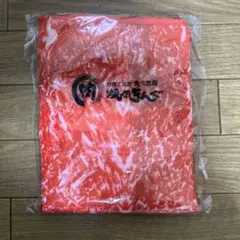 Item thumbnail for item 0dd345d6-4e9f-471d-84a2-4ff15ed8c6cb