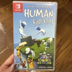 Nintendo Switch ヒューマン フォール フラット