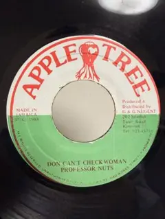 PROFESSOR NUTS / DON CAN'T〜 レゲエ レコード