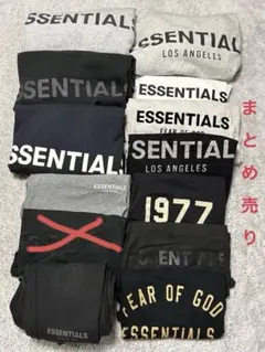 Item thumbnail for item 20e156ab-0d80-42d3-b364-cfcf73e187d5