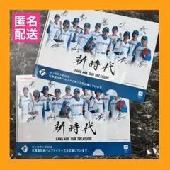ファイターズ クリアファイル2枚セットのサムネイル