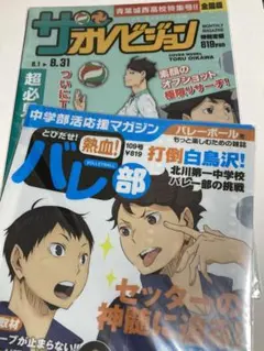 ハイキュー！！　アニくじ　クリアファイルセット　及川徹　影山飛雄