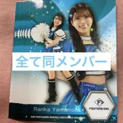 BBM チアリーダー 2026 FIGHTERS GIRL 山本蘭加