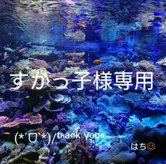 すかっ子様専用