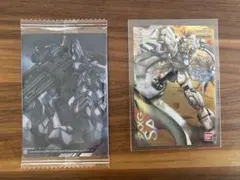 パッケージアート82 サンドロックEW イタジャガ12N サンドロック　ヘビア