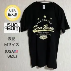 Item thumbnail for item 1a31a396-145b-43ab-9e9f-a852272e33ae