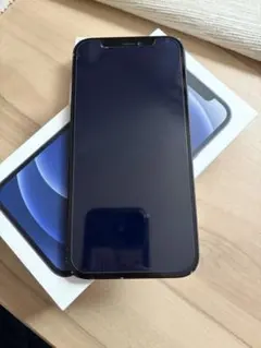 Apple iPhone12 simフリー　ブラック　256GB