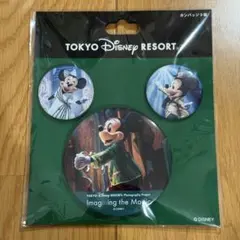 ディズニー イマジニングザマジック