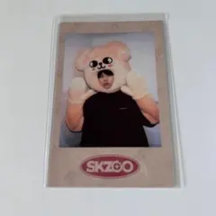 StrayKids SKZ-X ポラロイド SKZOO