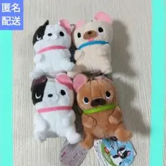 サンエックスユニバース ぬいぐるみ ぶるぶるどっぐ - メルカリ