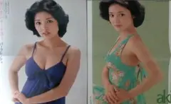当時物　水沢アキ 水着雑誌ピンナップ　2枚セット