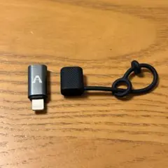 USB-C to Lightning 変換アダプタ
