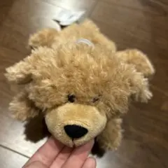 nici ペンケース　プードルのサムネイル