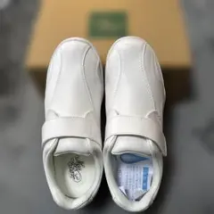 Item thumbnail for item f73a1975-c437-4a50-b082-840b753bee00