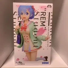 Re:ゼロ レム プレミアムフィギュア Student