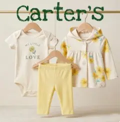 Item thumbnail for item 2e6503ec-ed1f-490c-ac2e-bec693693d7a