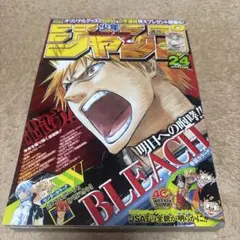 週刊少年ジャンプ 2010年 11号[エース死亡回] 巻頭カラー BLEACH