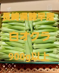 ②長崎県諫早産白オクラ900g以上のサムネイル