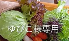 ゆぴこ様専用ページになります。