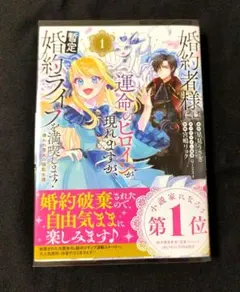 ＊chika＊さま専用