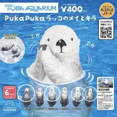 鳥羽水族館ガチャ　キラちゃんメイちゃん4点セット