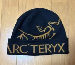ARC'TERYX BIRD WORD TOQUE ニット帽
