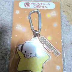 サンリオ大賞一番クジCOGIMYUN こざみゅん アクリルチャーム