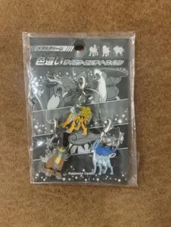 2026年最新】ポケモン メタルチャーム 色違いの人気アイテム - メルカリ