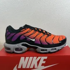 NIKE ナイキ ウィメンズ エアマックス プラスDM0032-014