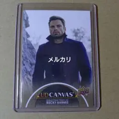 2026年最新】セバスチャンスタン フォトカードの人気アイテム - メルカリ