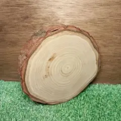 Item thumbnail for item b903079e-441f-418c-a579-47cca752f84b