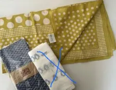 Item thumbnail for item 7e70c620-d6c8-4567-a8b7-65ae07dfae5b