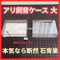 Item thumbnail for item cc3f21c1-94e4-4e9c-8672-5d060ffdb93f