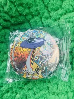 ポケモン　タケルライコ　マグネット