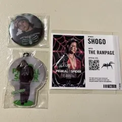 岩谷翔吾 サイン チェキ 2025年最新】岩谷翔吾 サインの人気アイテム - メルカリ