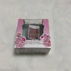 プリキュア ミニチャームコレクション