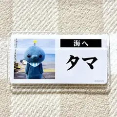 教育番組 グッズ 横田 裕市 写真家 on X: 
