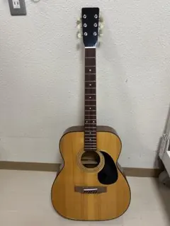 2025年最新】製造年：1970年代 アコースティックギターの人気アイテム