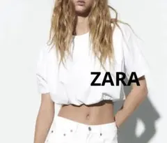 Item thumbnail for item 6cf04aa5-aeee-48a8-a04b-ba901b210fc2