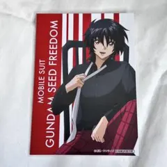 ガンダムSEED FREEDAM シン アニメイトフェア 特典 ブブロマイド