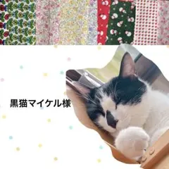 猫首輪 フラワーモチーフ ＋セーフティバックル ⑩-MN13