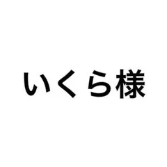 いくら様 リクエスト 3点 まとめ商品