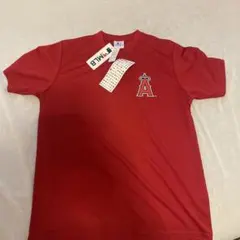 Item thumbnail for item cd4ab503-e1d4-4d91-9262-7a120a1a19c5