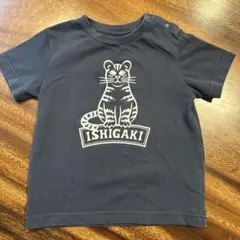 THE NORTH FACE ISHIGAKI Tシャツ 90