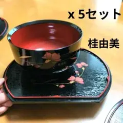 【美品】桂由美 漆器風 お椀 丼ぶり お盆 銘々皿 5客セット うどん そば 麺のサムネイル