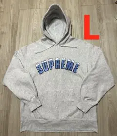 24時間以内発送 完売品 L Icy Arc Hooded Sweatshirt